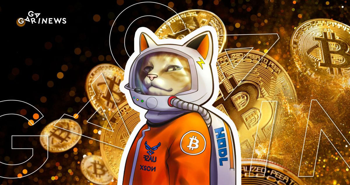 Photo - “Bitcoin is For Enemies, Friends, Everyone,” says Hodlonaut