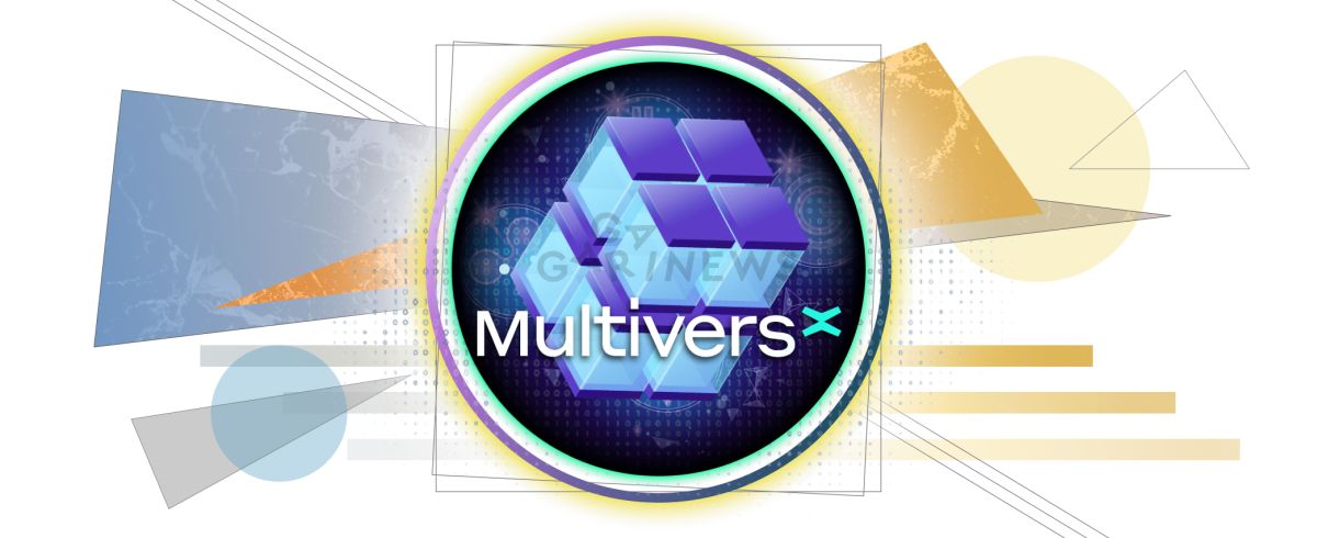 Photo - MultiversX: development of dApps and a portal to the Metaverse